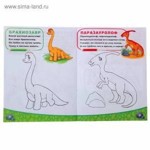 Раскраска «Мир динозавров», 12 стр