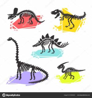 Векторный скелет динозавра набор диплодок, трицератопс, t-рекс, стегозавр, паразауролоф