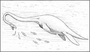 Раскраски динозавры эласмозавр