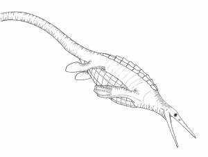 Раскраски морские динозавры