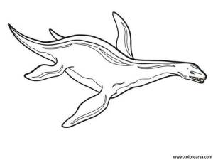 DataLife Engine > Версия для печати > Раскраски плезиозавр динозавр