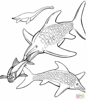 Раскраска Динозавр ихтиозавр