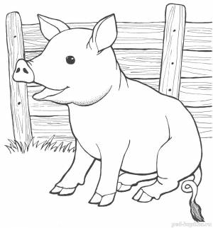 Раскраска для детей 3-5 лет