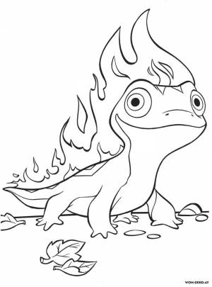 Раскраска Саламандра Бруни