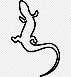 Рептя позвоночных Саламандра Ящерица, саламандра, cdr, животные png