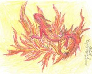 Картинки саламандра дух огня