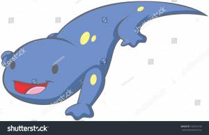 Cute Baby Spotted Salamander