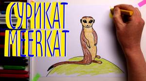 СУРИКАТ какнарисовать Уроки Рисования Для Детей howtodraw MEERKAT drawforchildren