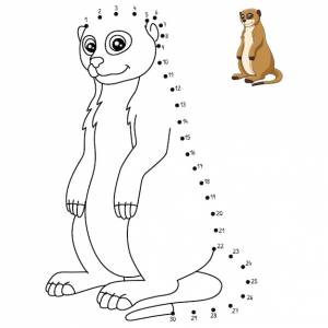 Раскраска сурикат точка за точкой для детей