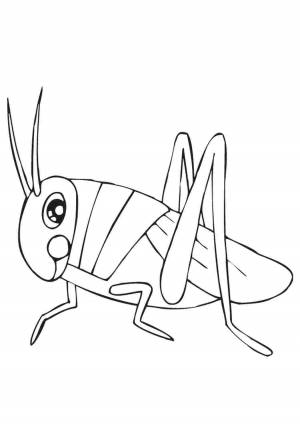 Сверчок раскраска