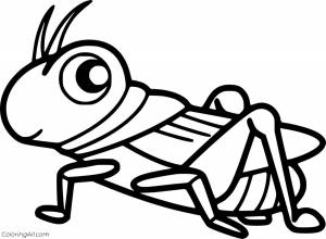 Животное сверчок