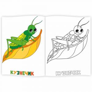 Раскраска для малышей