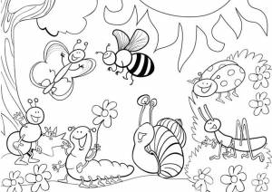 Раскраска Насекомые