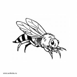 Раскраски Насекомые для детей