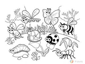 подборка раскрасок по лексической теме «насекомые»