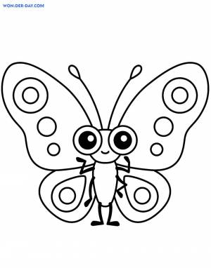 Раскраски Насекомые