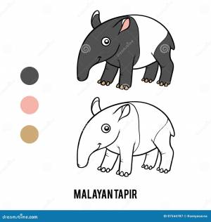 Книжка-раскраска, Malayan тапир Иллюстрация вектора