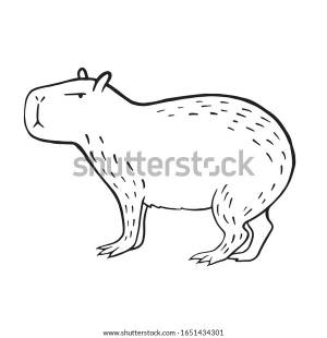 Capybara Vector Linear Illustration Capybara Doodle
