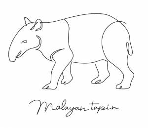 Малайский тапир