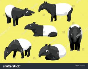 Various Malayan Tapir Poses Cartoon Cute