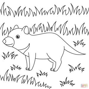 Раскраска Симпатичный тасманский дьявол