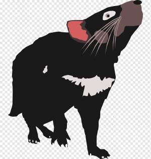 Кот Тасманский дьявол Позвоночный Таз