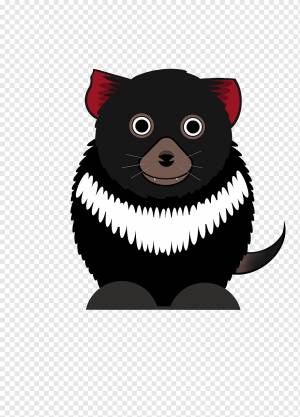 Тасманский дьявол, Животное, Живая природа, Плотоядное животное, Млекопитающее, Сумчатое животное, Милый, png