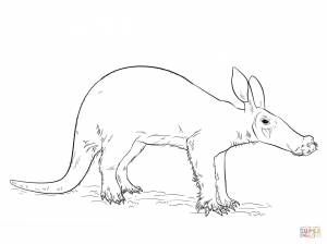 Раскраска Трубкозуб