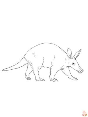 Раскраски трубкозубы