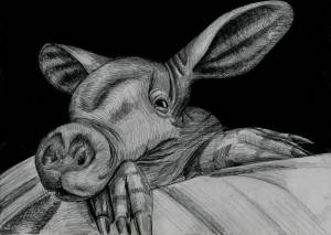 Иллюстрация Трубкозуб в стиле графика