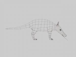 трубкозуб 3D Модель $5