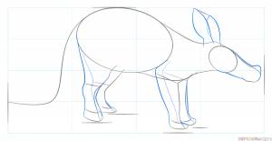 Как нарисовать трубкозуба