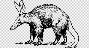 трубкозуб png