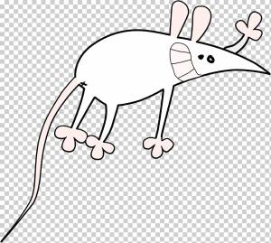 Минни Маус Микки Маус Компьютерная мышь, мышка, угол, белый, млекопитающее png