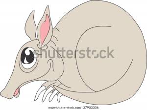 Illustration Aardvark