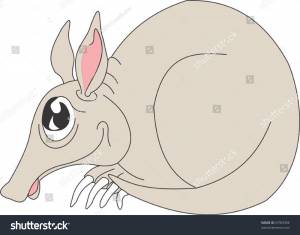 Illustration Aardvark
