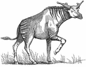 Читать онлайн «Борьба за обед