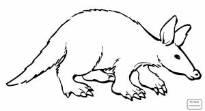 Трубкозуб рисунок