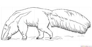 DataLife Engine > Версия для печати > Муравьед животное рисунок