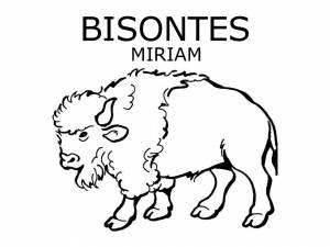 Зубр раскраска