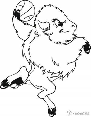 бизон, игрок, баскетбол