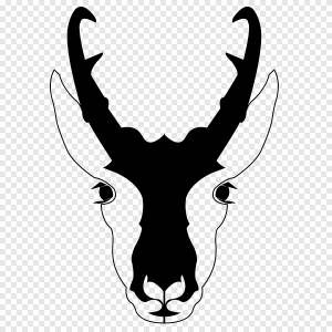 пронгорн png