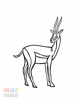 Раскраска Антилопа Куду