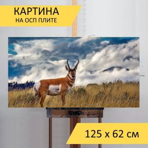 Картина Вилорог, животное, дикая природа для интерьера на стену