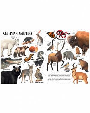 Первые книжки малыша