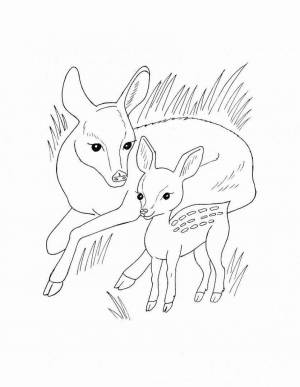 Раскраски Для детей 3 4 лет дикие животные и их детеныши