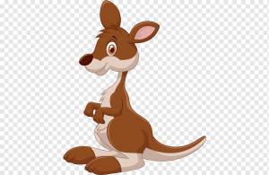 Коала Фауна Австралии Вомбат, коала, млекопитающее, животные, хищник png