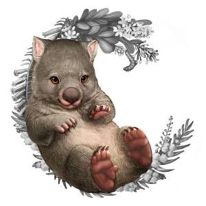Wombat_Artwork