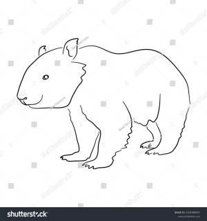 Wombat Illustration Doodle Style Vector Isolated