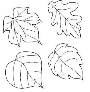 листья Раскраски